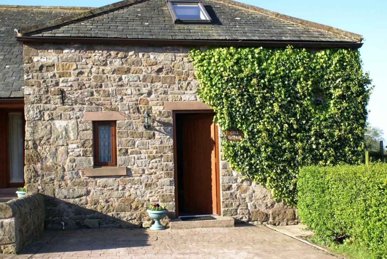 Gill Cottage Castle Carrock 外观 照片